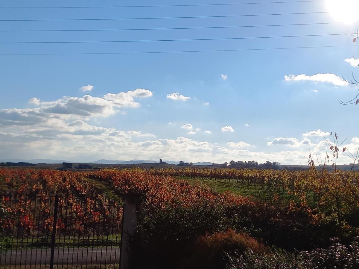 L'Eglantyne Bed & Breakfast La Chapelle-de-Guinchay Luaran gambar